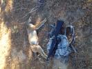 huntandski