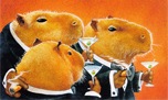 Capybara