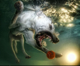 illen_eb