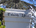 FalconLair