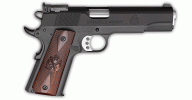 warthog841