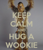 Wook