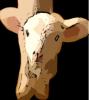 armedlamb
