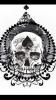 Spud_762