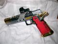 dingo72