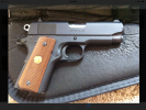 gunnut519