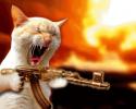 Kittygunner