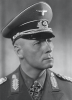Rommel's_Asparagus