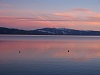 Tahoeshooter