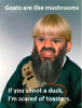 Brice