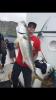 woodpecker562dc