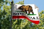 Norcalkid