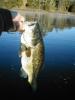 Irishfisher