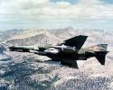 wild_weasel
