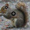 TerryE1