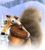 MOA squirrel
