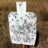 guncollector