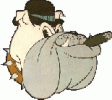 Bulldog43