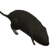 gacaf