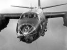 Freebird76