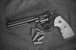 Pistol Fan