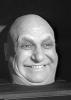 fester