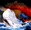 Mastodon