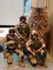 stealthmission