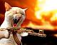 CAT_101