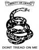 American Insurgent