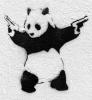 PowerPanda