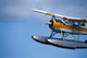 Birdstrike