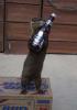caver.257