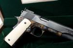 Bandit1911
