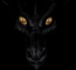 WilSin